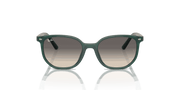 Grey Lenses, Polished Opal Green Frame