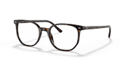 Demo Lens Lenses, Polished Havana Frame