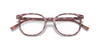 [Clear Lenses, Polished Brown & Violet Havana Frame]