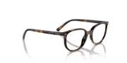 Clear Lenses, Polished Havana Frame