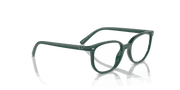 Clear Lenses, Polished Opal Green Frame