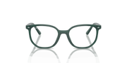 Clear Lenses, Polished Opal Green Frame