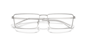 Clear Lenses, Polished Silver Frame