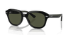 [Green Lenses, Polished Black Frame]