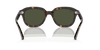 [Green Lenses, Polished Havana Frame]