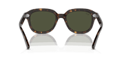 Green Lenses, Polished Havana Frame