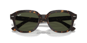 Green Lenses, Polished Havana Frame