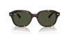 [Green Lenses, Polished Havana Frame]