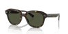 [Green Lenses, Polished Havana Frame]