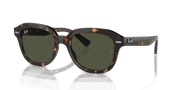 Green Lenses, Polished Havana Frame