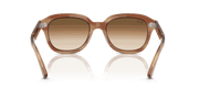 Clear Gradient Brown Lenses, Polished Striped Brown Frame