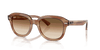 [Clear Gradient Brown Lenses, Polished Striped Brown Frame]