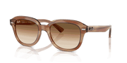 Clear Gradient Brown Lenses, Polished Striped Brown Frame