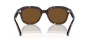 Brown Lenses, Polished Havana Frame