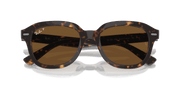 Brown Lenses, Polished Havana Frame