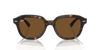 [Brown Lenses, Polished Havana Frame]