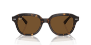 Brown Lenses, Polished Havana Frame