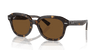 [Brown Lenses, Polished Havana Frame]