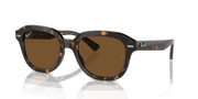 Brown Lenses, Polished Havana Frame