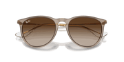 Brown Lenses, Polished Transparent Light Brown Frame