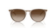 Brown Lenses, Polished Transparent Light Brown Frame