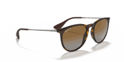 Brown Lenses, Polished Light Havana Frame