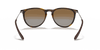 [Brown Lenses, Polished Light Havana Frame]