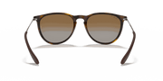 Brown Lenses, Polished Light Havana Frame