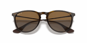 Brown Lenses, Polished Light Havana Frame