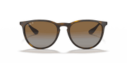 Brown Lenses, Polished Light Havana Frame