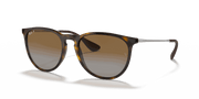 Brown Lenses, Polished Light Havana Frame