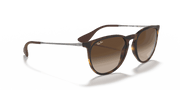 Brown Gradient Lenses, Matte Havana Frame