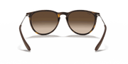 Brown Gradient Lenses, Matte Havana Frame