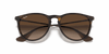 [Brown Gradient Lenses, Matte Havana Frame]