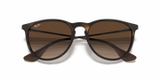 Brown Gradient Lenses, Matte Havana Frame