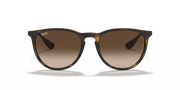 Brown Gradient Lenses, Matte Havana Frame