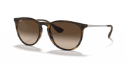 Brown Gradient Lenses, Matte Havana Frame