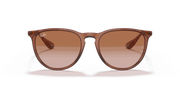 Gradient Brown Lenses, Polished Transparent Light Brown Frame