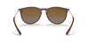 [Brown Gradient Polar Lenses, Polished Transparent Dark Brown Frame]