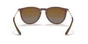 Brown Gradient Polar Lenses, Polished Transparent Dark Brown Frame