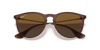 [Brown Gradient Polar Lenses, Polished Transparent Dark Brown Frame]