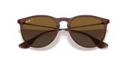 Brown Gradient Polar Lenses, Polished Transparent Dark Brown Frame