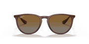 Brown Gradient Polar Lenses, Polished Transparent Dark Brown Frame