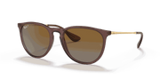 Brown Gradient Polar Lenses, Polished Transparent Dark Brown Frame