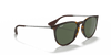 [G-15 Green Lenses, Polished Light Havana Frame]