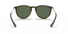 [G-15 Green Lenses, Polished Light Havana Frame]