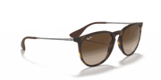 Brown Lenses, Matte Havana Frame