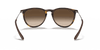 [Brown Lenses, Matte Havana Frame]