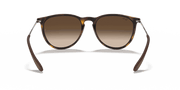 Brown Lenses, Matte Havana Frame