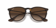 Brown Lenses, Matte Havana Frame